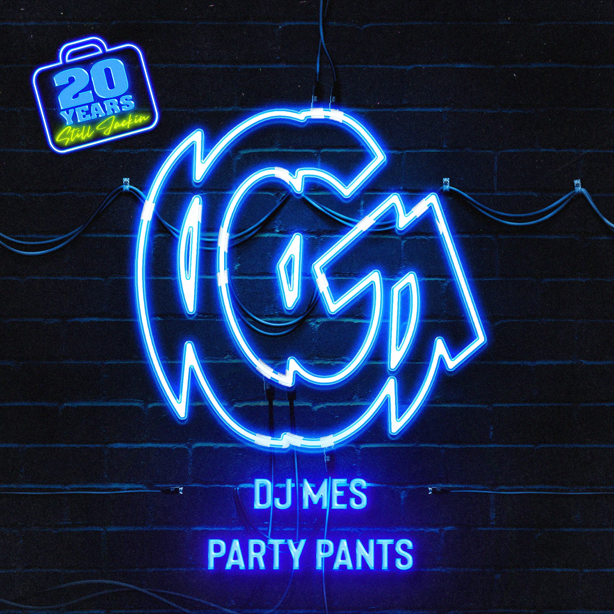 DJ Mes — Party Pants